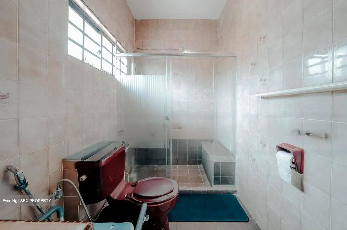 Charlton Park (D19), Terrace #496702531